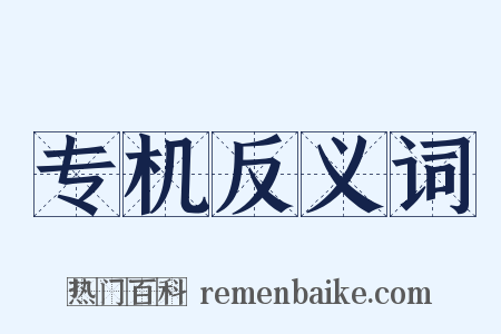 专机反义词是什么意思的图片